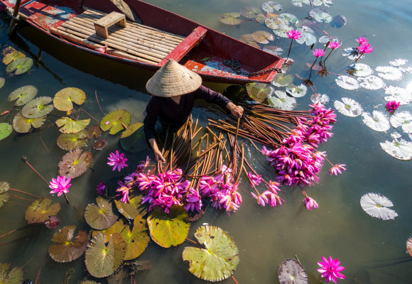 Panorama of Vietnam & Cambodia